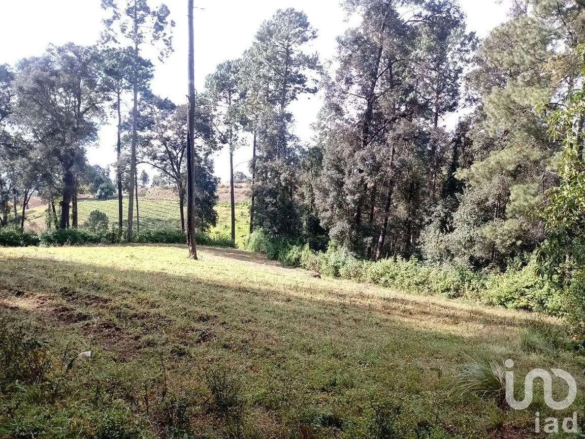 Terreno en Venta en Atesquelites, Valle de Bravo, Estado De México | NEX-227336 | iad México | Foto 25 de 31