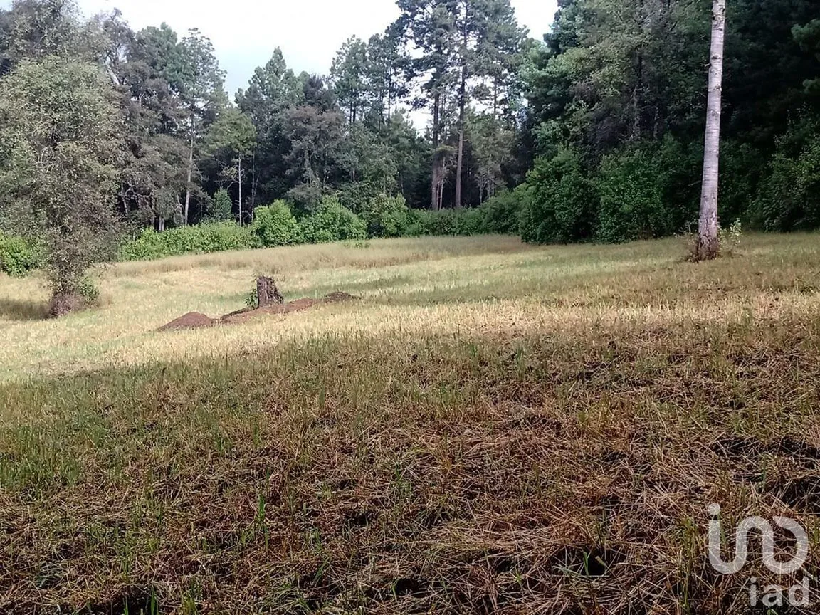 Terreno en Venta en Atesquelites, Valle de Bravo, Estado De México | NEX-227336 | iad México | Foto 26 de 31
