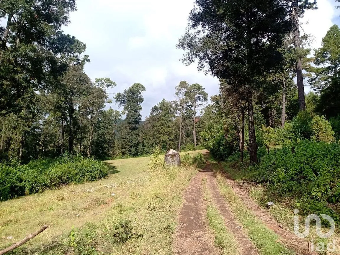 Terreno en Venta en Atesquelites, Valle de Bravo, Estado De México | NEX-227336 | iad México | Foto 27 de 31