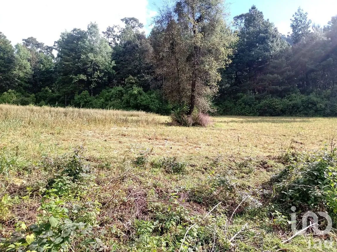 Terreno en Venta en Atesquelites, Valle de Bravo, Estado De México | NEX-227336 | iad México | Foto 28 de 31
