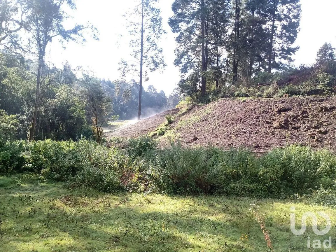 Terreno en Venta en Atesquelites, Valle de Bravo, Estado De México | NEX-227336 | iad México | Foto 29 de 31