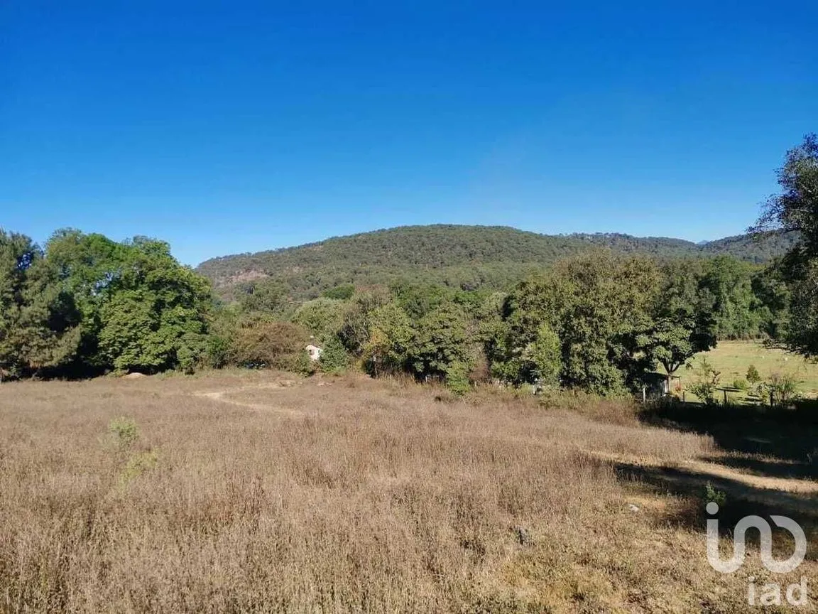 Terreno en Venta en Atesquelites, Valle de Bravo, Estado De México | NEX-227336 | iad México | Foto 4 de 31