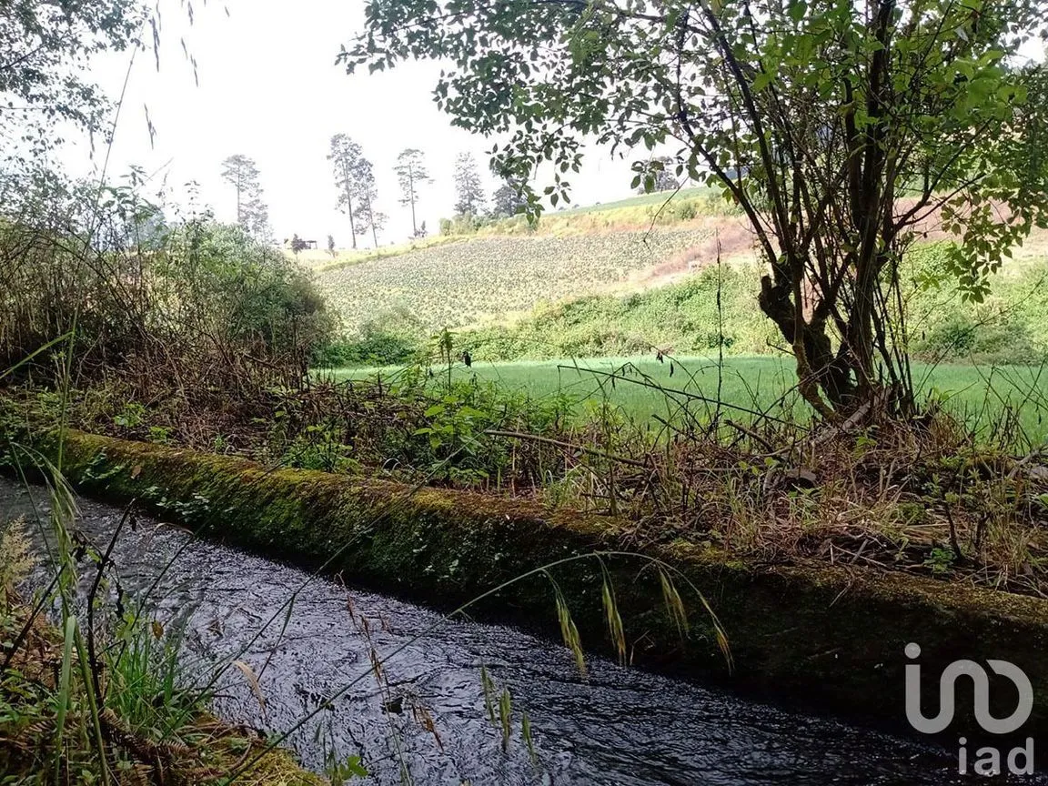 Terreno en Venta en Atesquelites, Valle de Bravo, Estado De México | NEX-227336 | iad México | Foto 5 de 31