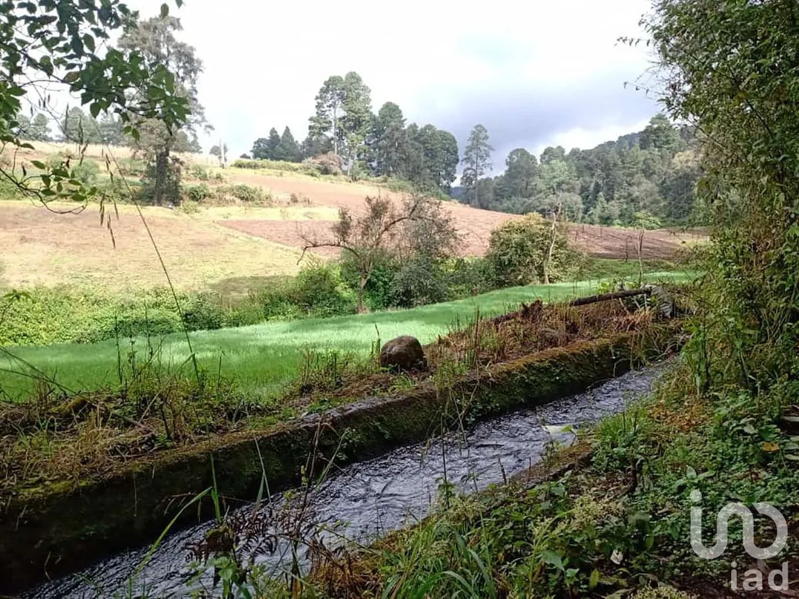Terreno en Venta en Atesquelites, Valle de Bravo, Estado De México | NEX-227336 | iad México | Foto 6 de 31