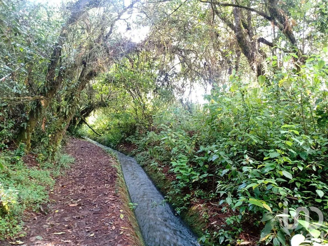 Terreno en Venta en Atesquelites, Valle de Bravo, Estado De México | NEX-227336 | iad México | Foto 7 de 31