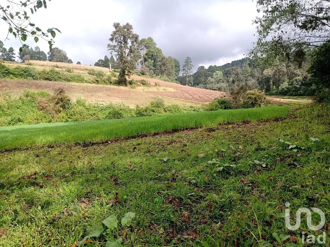 Terreno en Venta en Atesquelites, Valle de Bravo, Estado De México | NEX-227336 | iad México | Foto 8 de 31