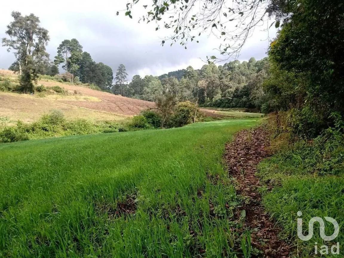 Terreno en Venta en Atesquelites, Valle de Bravo, Estado De México | NEX-227336 | iad México | Foto 9 de 31