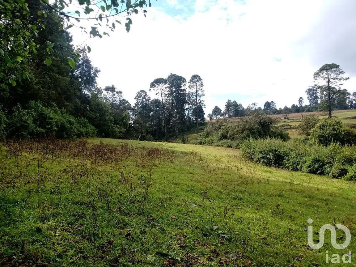 Terreno en Venta en Atesquelites, Valle de Bravo, Estado De México | NEX-227336 | iad México | Foto 10 de 31