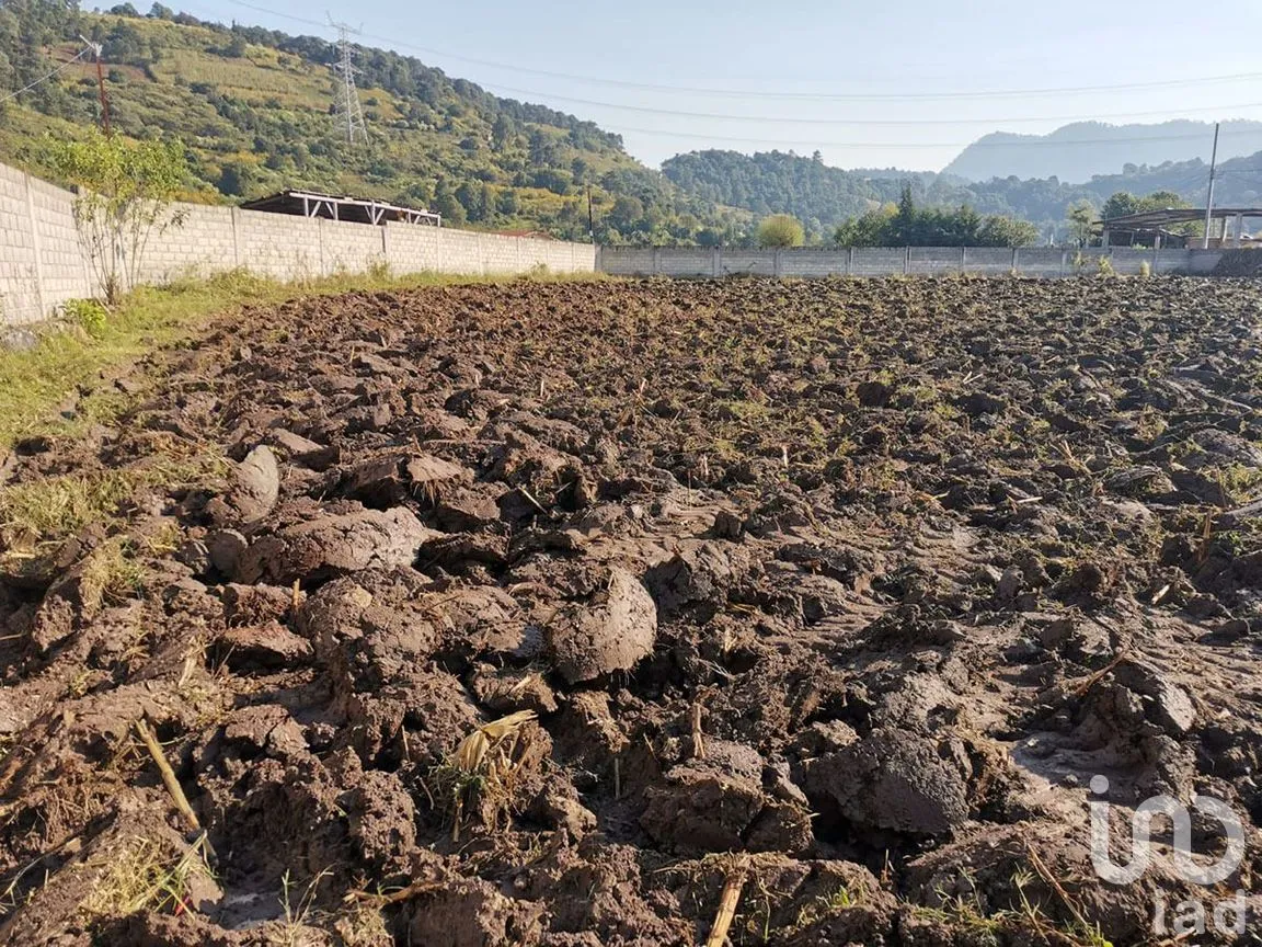Terreno en Venta en Pipioltepec, Valle de Bravo, Estado De México | NEX-227338 | iad México | Foto 4 de 6