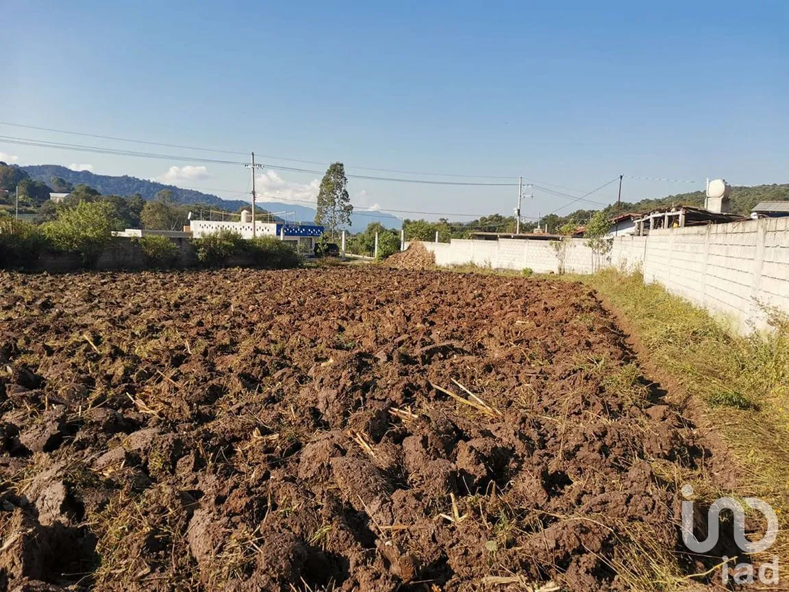 Terreno en Venta en Pipioltepec, Valle de Bravo, Estado De México | NEX-227338 | iad México | Foto 6 de 6