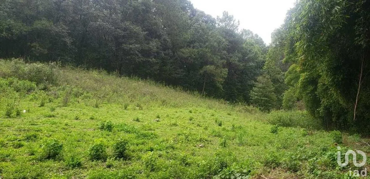 Terreno en Venta en Peña Blanca, Valle de Bravo, Estado De México | NEX-227339 | iad México | Foto 2 de 10