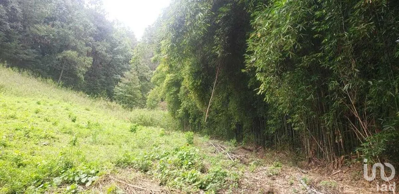 Terreno en Venta en Peña Blanca, Valle de Bravo, Estado De México | NEX-227339 | iad México | Foto 3 de 10
