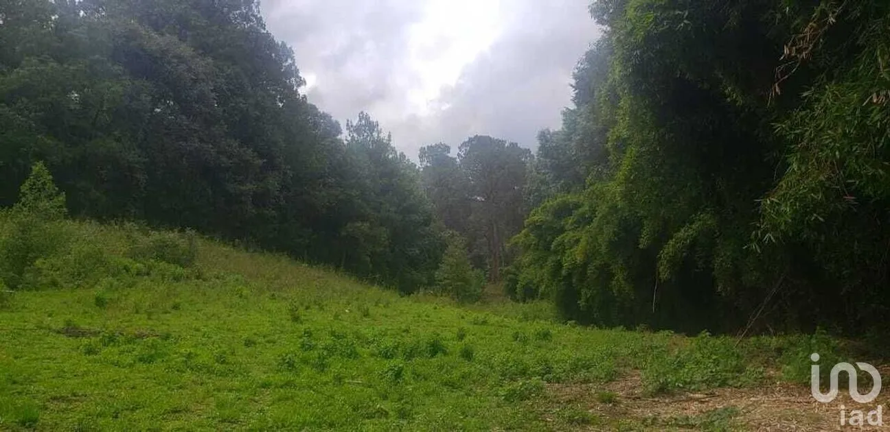 Terreno en Venta en Peña Blanca, Valle de Bravo, Estado De México | NEX-227339 | iad México | Foto 4 de 10