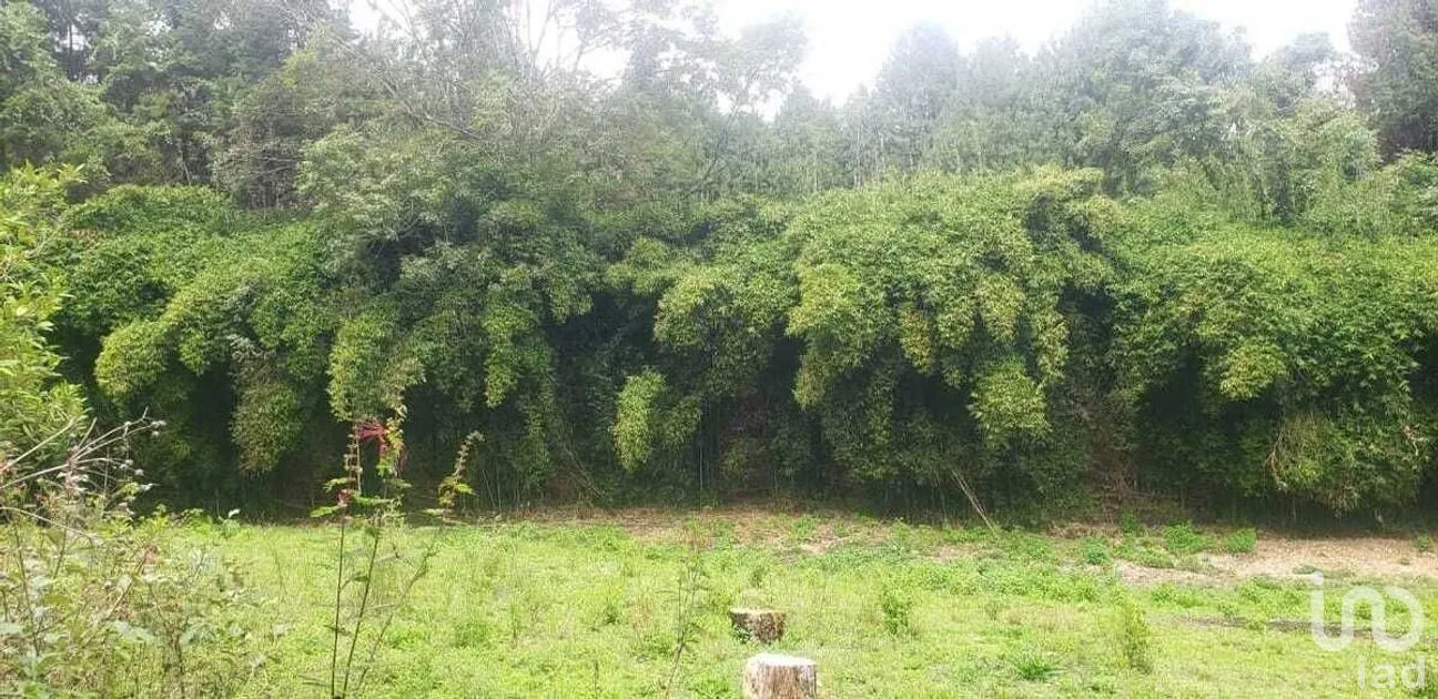 Terreno en Venta en Peña Blanca, Valle de Bravo, Estado De México | NEX-227339 | iad México | Foto 5 de 10