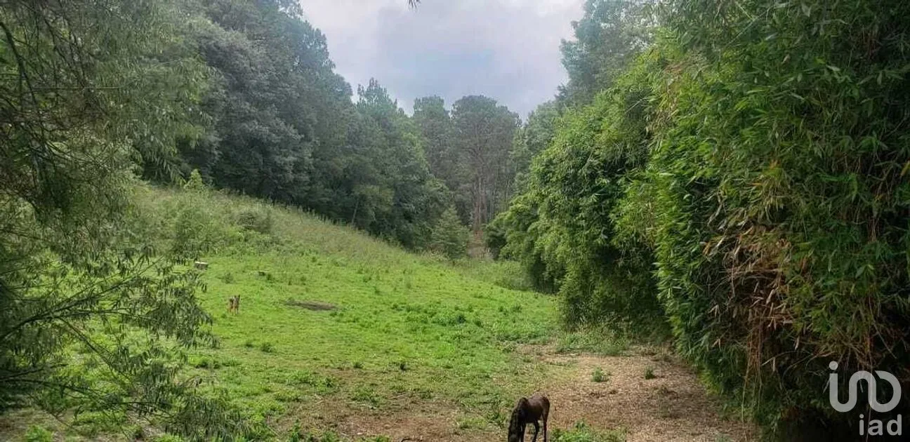 Terreno en Venta en Peña Blanca, Valle de Bravo, Estado De México | NEX-227339 | iad México | Foto 7 de 10