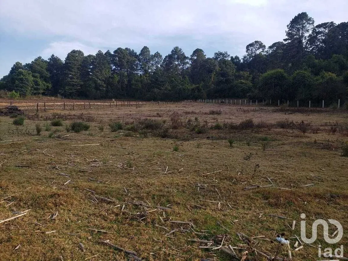 Terreno en Venta en Cuadrilla de Dolores, Valle de Bravo, Estado De México | NEX-227340 | iad México | Foto 2 de 5