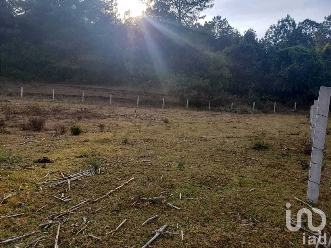 Terreno en Venta en Cuadrilla de Dolores, Valle de Bravo, Estado De México | NEX-227340 | iad México | Foto 4 de 5
