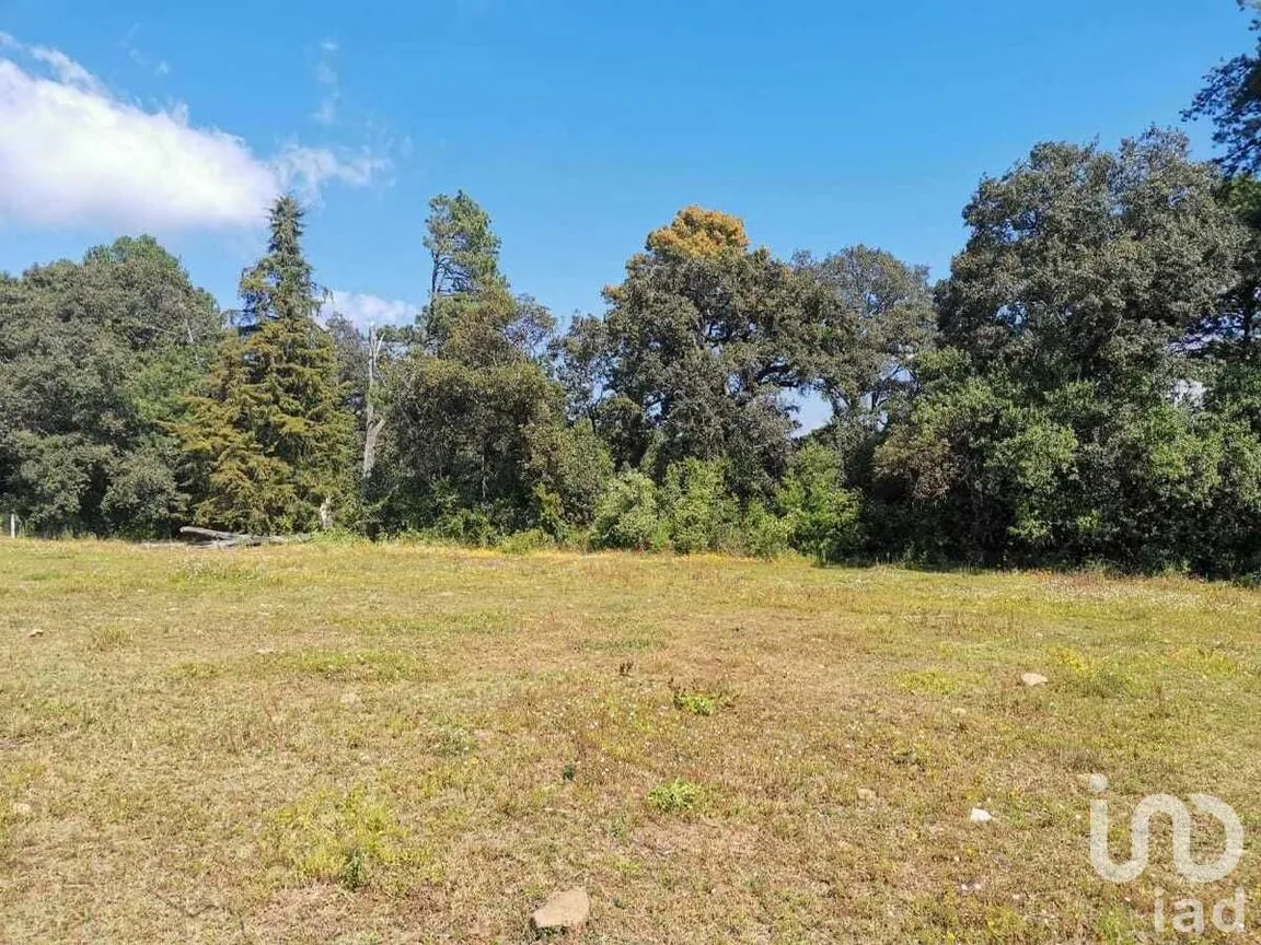 Terreno en Venta en Godínez O Tehuastepec, Valle de Bravo, Estado De México | NEX-227341 | iad México | Foto 11 de 12