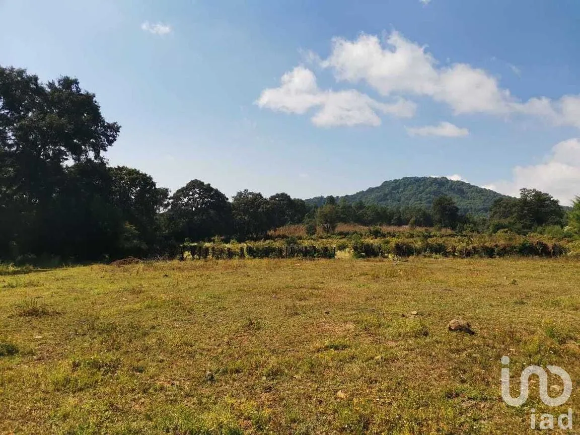 Terreno en Venta en Godínez O Tehuastepec, Valle de Bravo, Estado De México | NEX-227341 | iad México | Foto 12 de 12