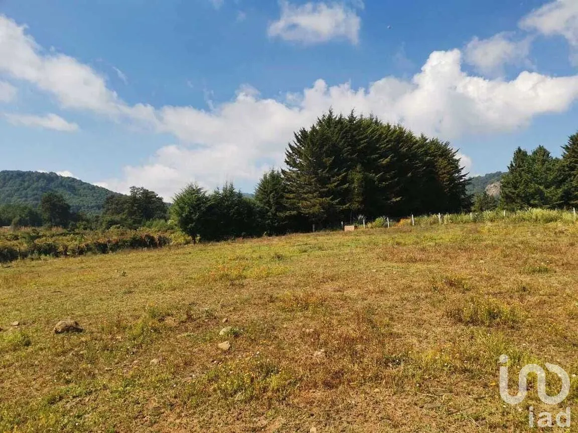 Terreno en Venta en Godínez O Tehuastepec, Valle de Bravo, Estado De México | NEX-227341 | iad México | Foto 8 de 12