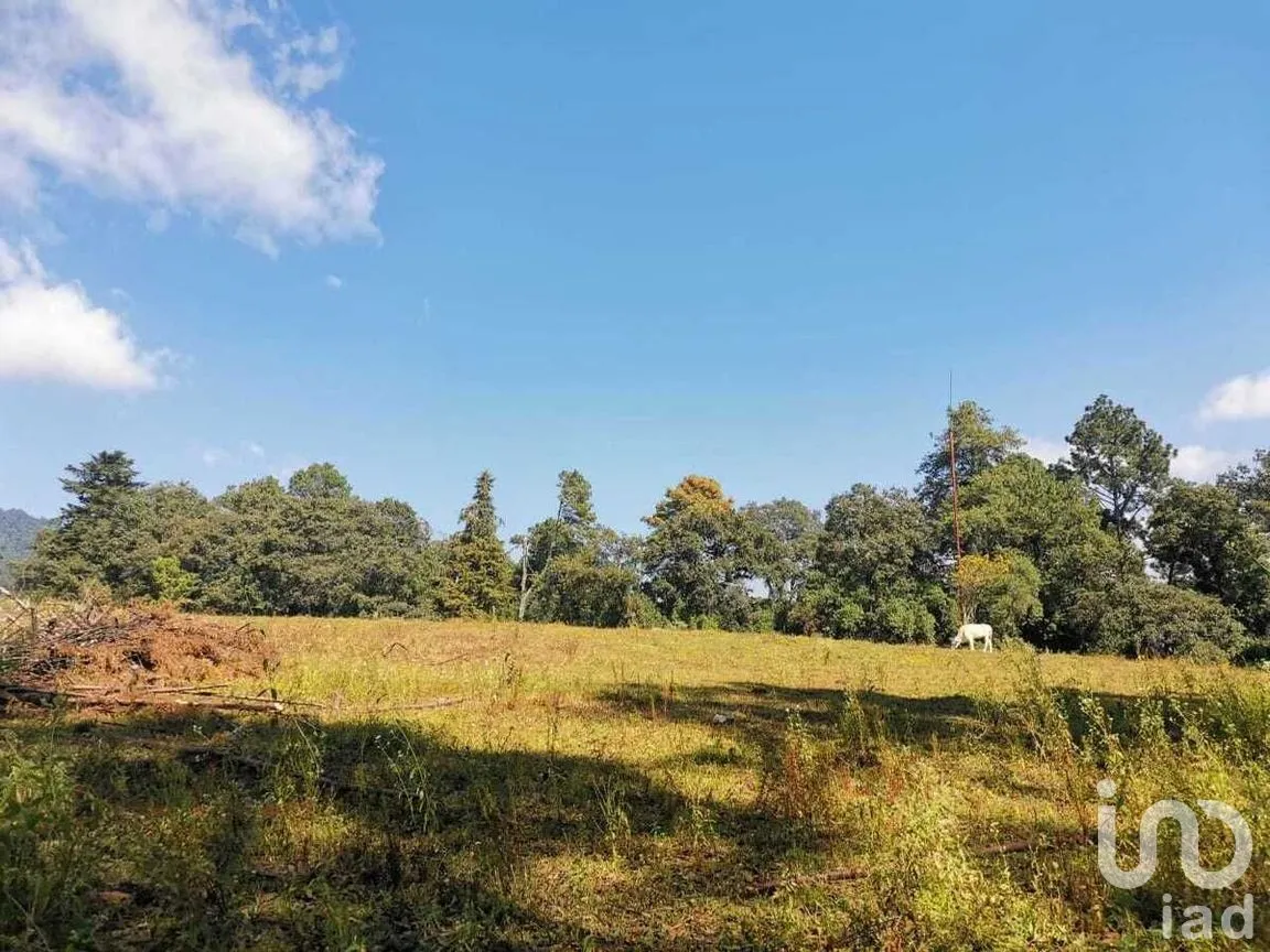 Terreno en Venta en Godínez O Tehuastepec, Valle de Bravo, Estado De México | NEX-227341 | iad México | Foto 9 de 12