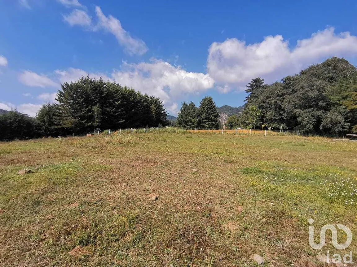 Terreno en Venta en Godínez O Tehuastepec, Valle de Bravo, Estado De México | NEX-227341 | iad México | Foto 1 de 12
