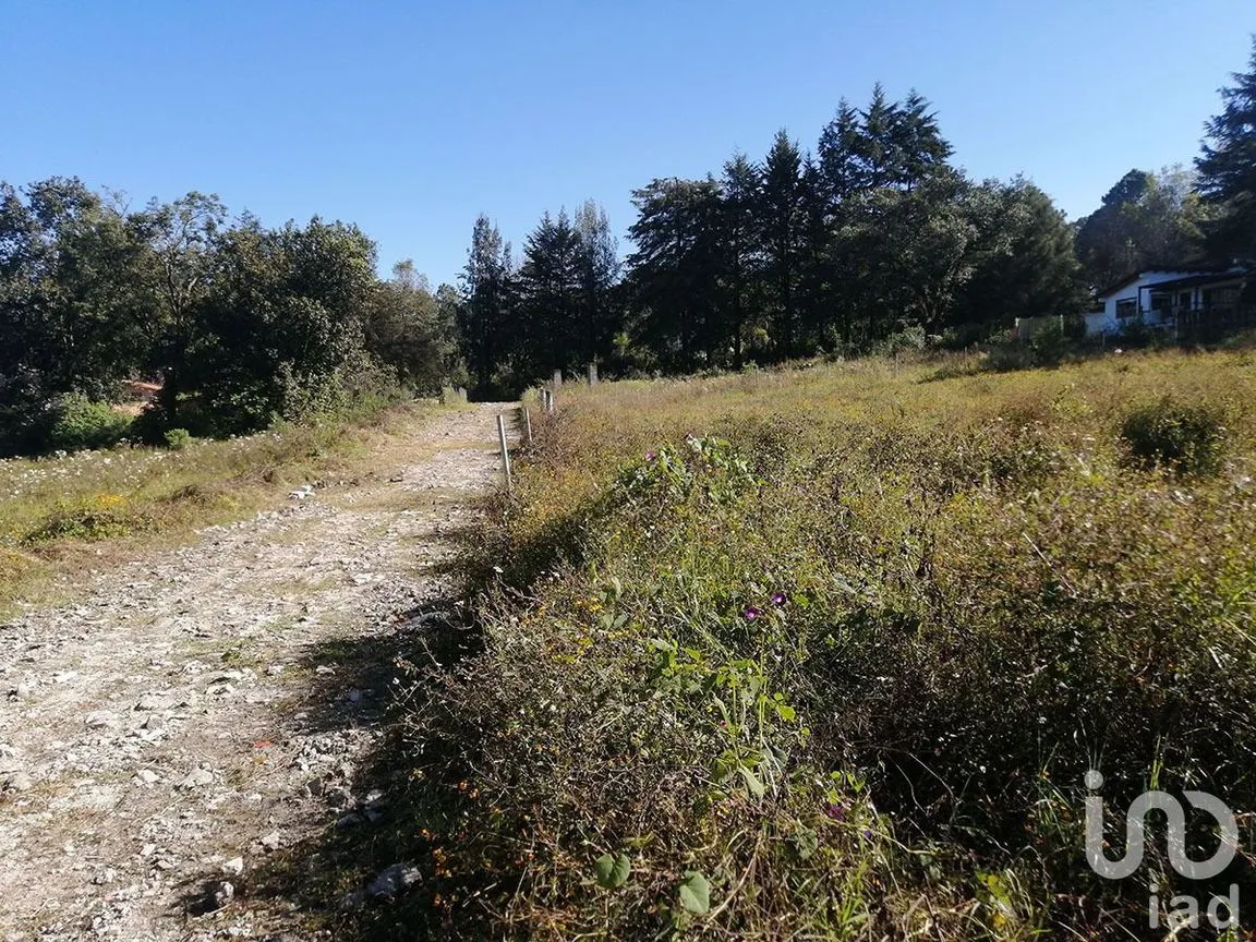 Terreno en Venta en Valle de Bravo, Valle de Bravo, Estado De México | NEX-227342 | iad México | Foto 10 de 11