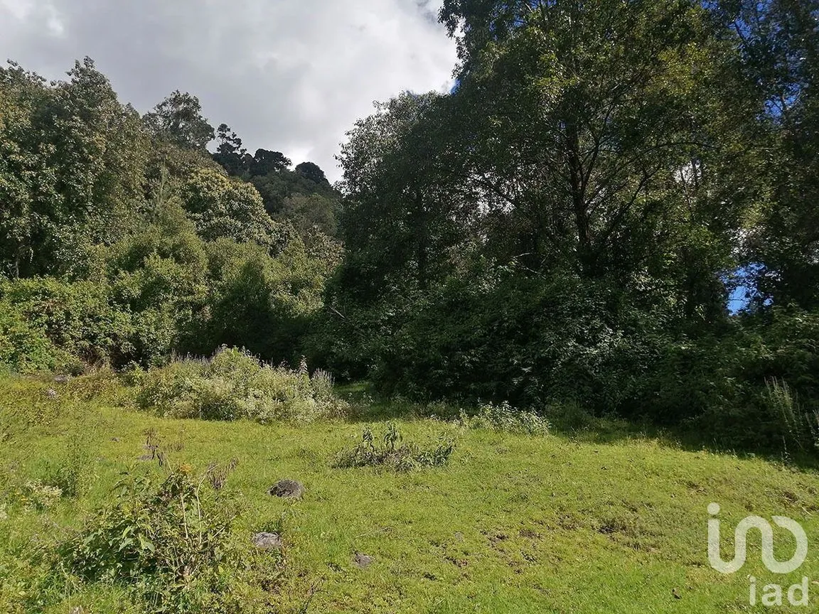 Terreno en Venta en Los Saúcos, Valle de Bravo, Estado De México | NEX-227344 | iad México | Foto 2 de 12