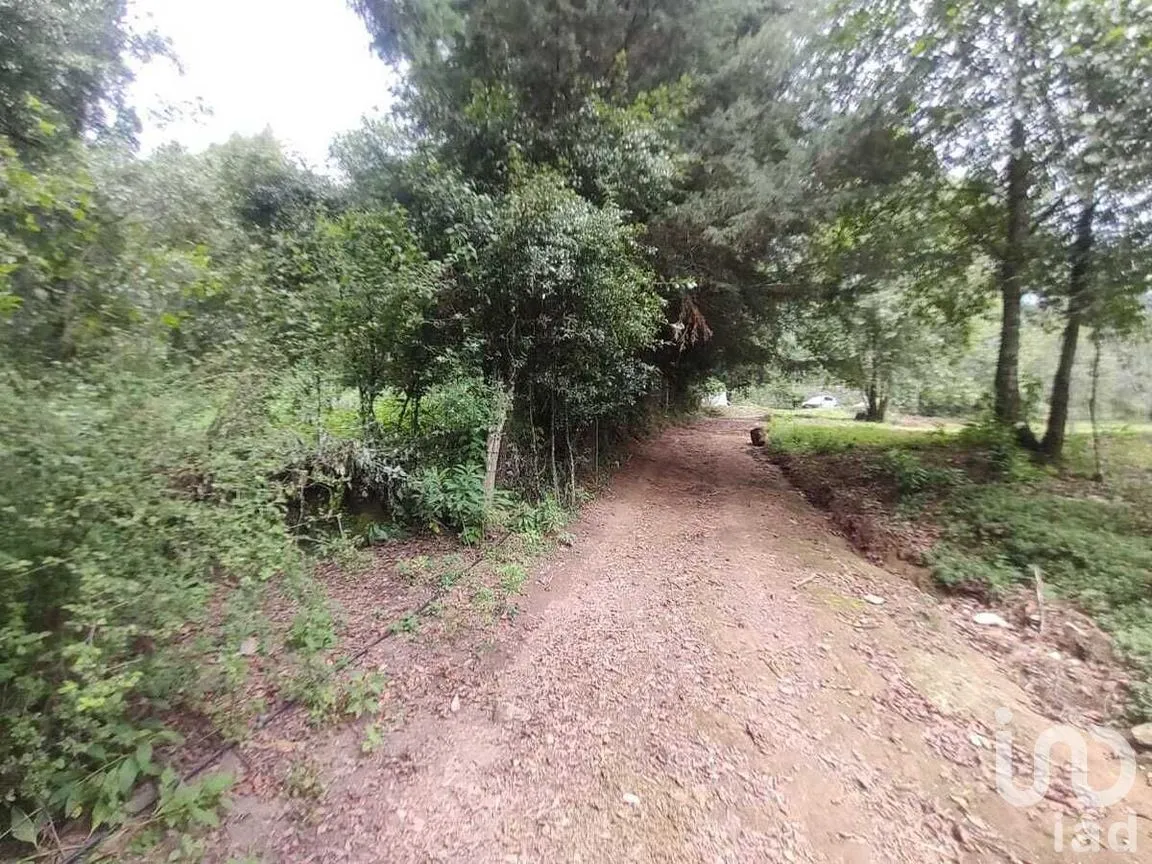 Terreno en Venta en Los Saúcos, Valle de Bravo, Estado De México | NEX-227344 | iad México | Foto 11 de 12