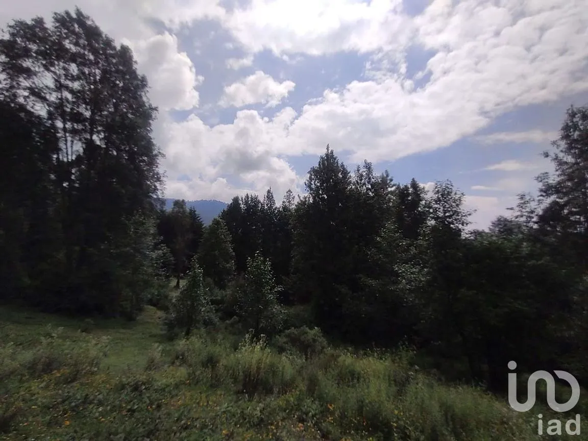 Terreno en Venta en Los Saúcos, Valle de Bravo, Estado De México | NEX-227344 | iad México | Foto 12 de 12