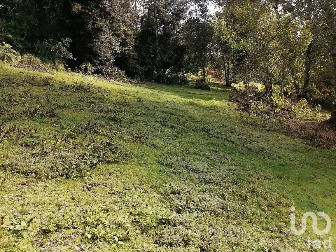 Terreno en Venta en Los Saúcos, Valle de Bravo, Estado De México | NEX-227344 | iad México | Foto 3 de 12