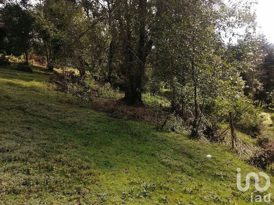 Terreno en Venta en Los Saúcos, Valle de Bravo, Estado De México | NEX-227344 | iad México | Foto 4 de 12