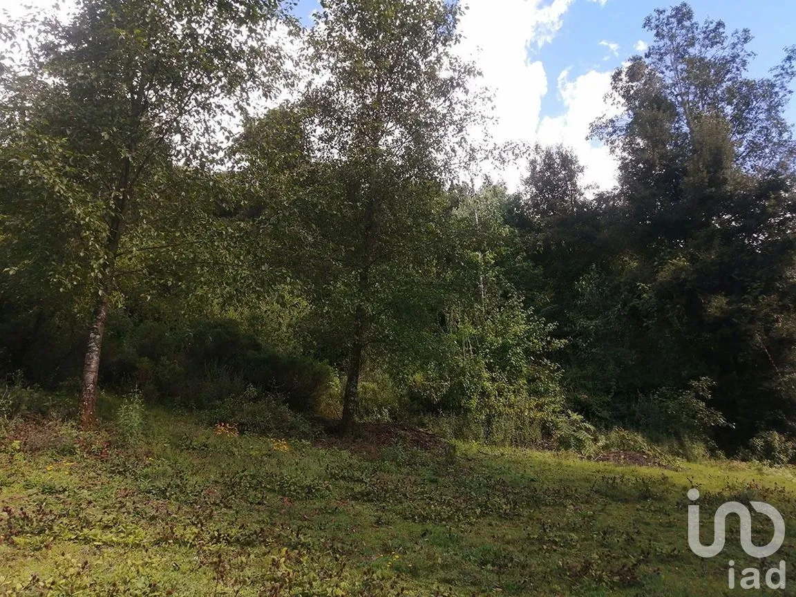Terreno en Venta en Los Saúcos, Valle de Bravo, Estado De México | NEX-227344 | iad México | Foto 5 de 12