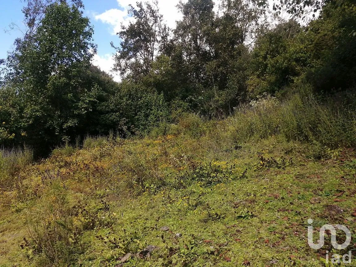 Terreno en Venta en Los Saúcos, Valle de Bravo, Estado De México | NEX-227344 | iad México | Foto 6 de 12