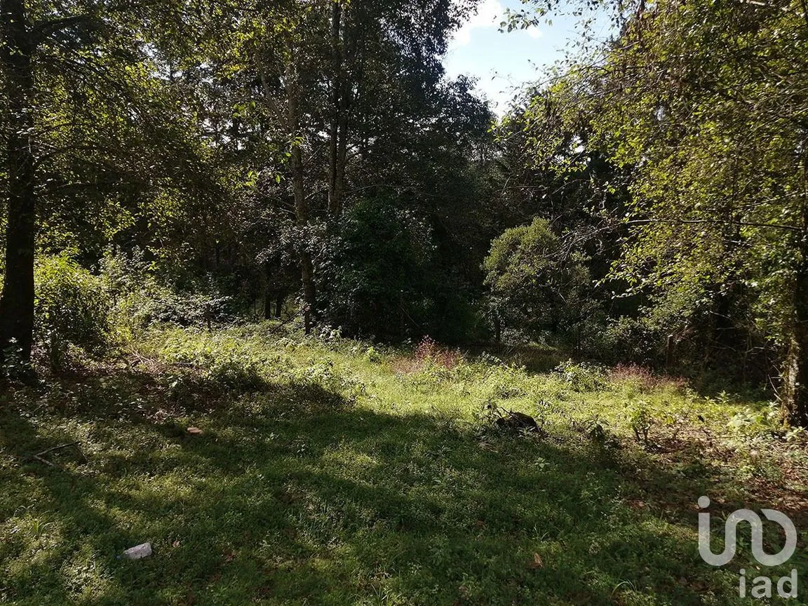 Terreno en Venta en Los Saúcos, Valle de Bravo, Estado De México | NEX-227344 | iad México | Foto 7 de 12