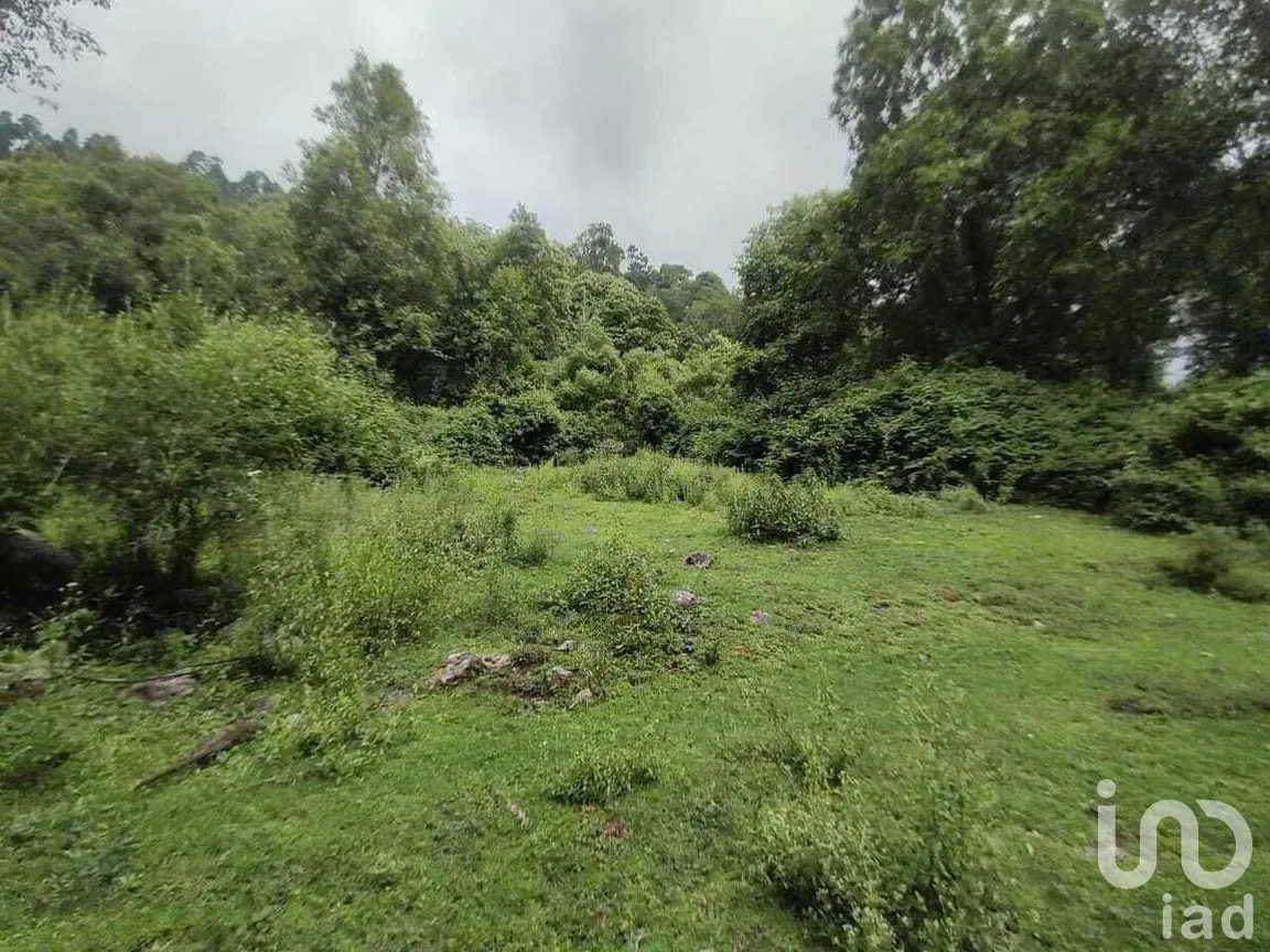 Terreno en Venta en Los Saúcos, Valle de Bravo, Estado De México | NEX-227344 | iad México | Foto 8 de 12
