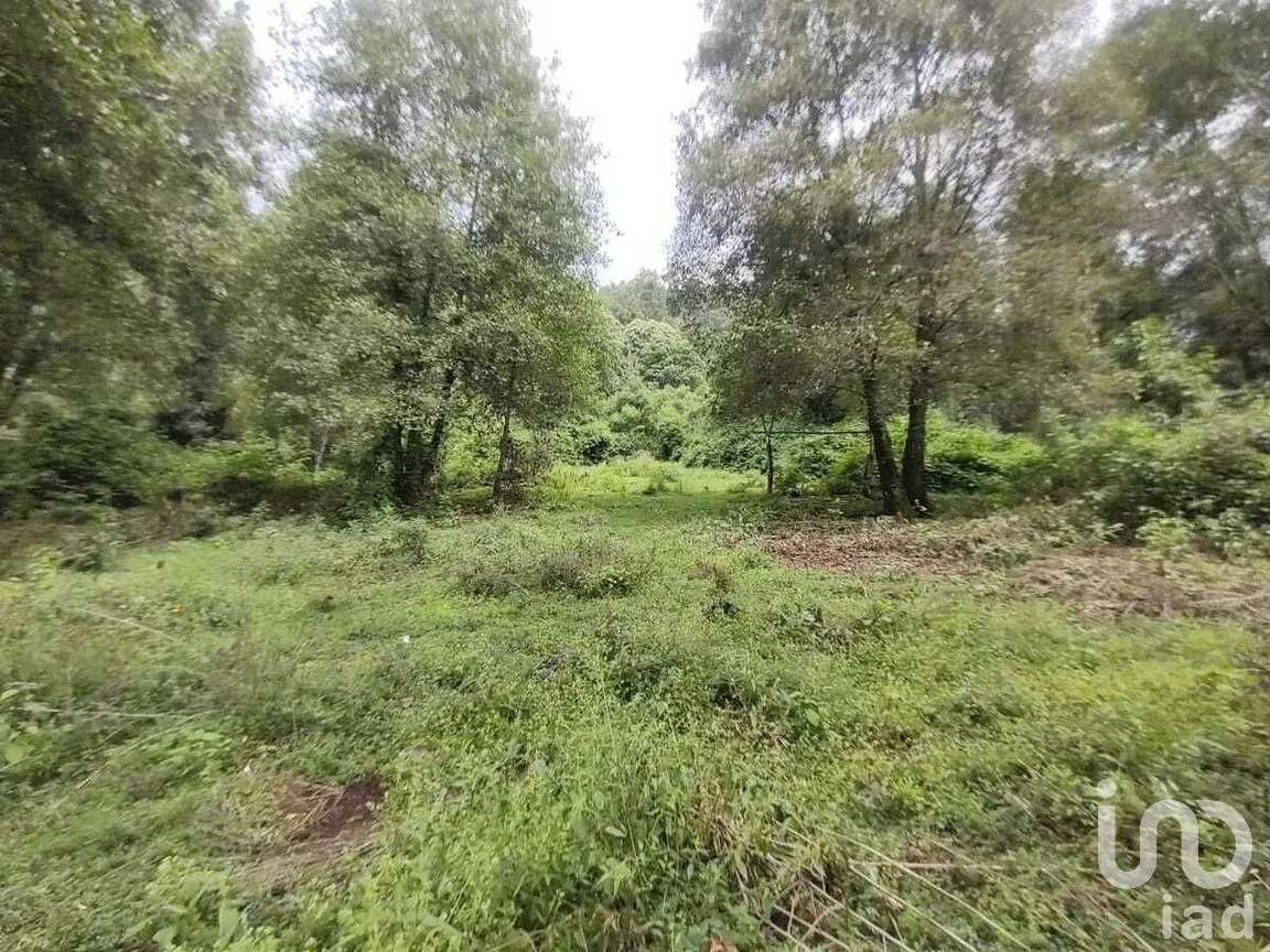 Terreno en Venta en Los Saúcos, Valle de Bravo, Estado De México | NEX-227344 | iad México | Foto 9 de 12