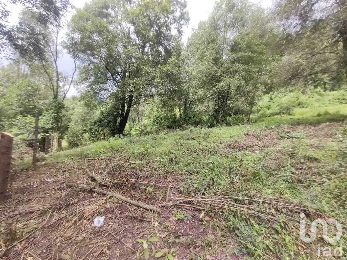 Terreno en Venta en Los Saúcos, Valle de Bravo, Estado De México | NEX-227344 | iad México | Foto 10 de 12