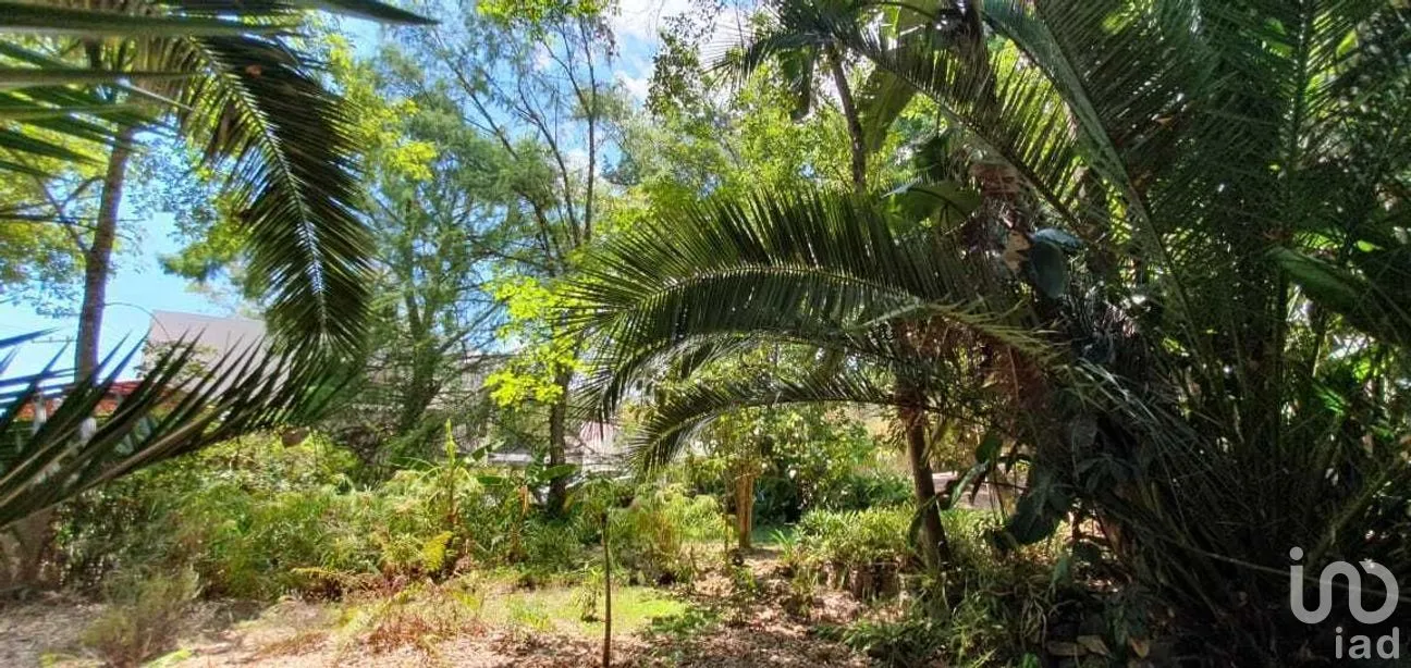 Terreno en Venta en Valle de Bravo, Valle de Bravo, Estado De México | NEX-227347 | iad México | Foto 3 de 10