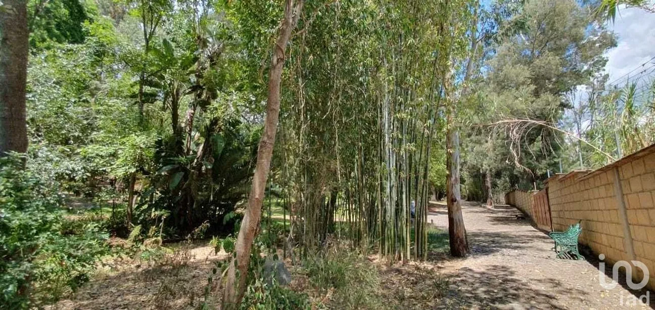 Terreno en Venta en Valle de Bravo, Valle de Bravo, Estado De México | NEX-227347 | iad México | Foto 7 de 10