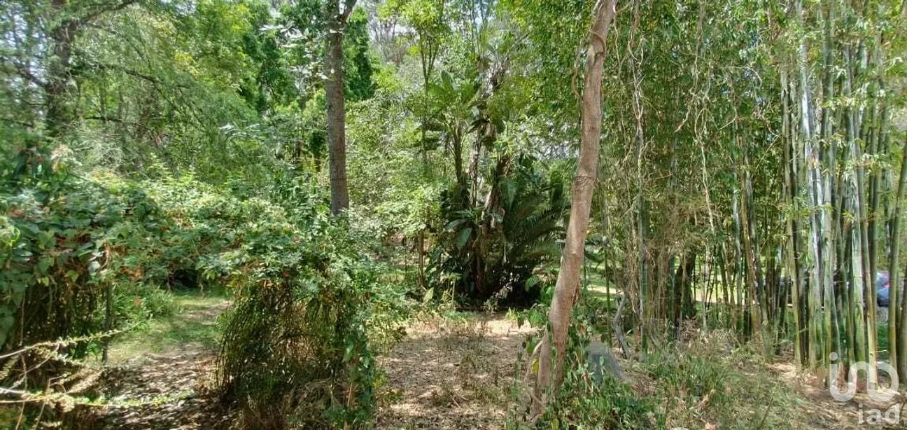Terreno en Venta en Valle de Bravo, Valle de Bravo, Estado De México | NEX-227347 | iad México | Foto 9 de 10