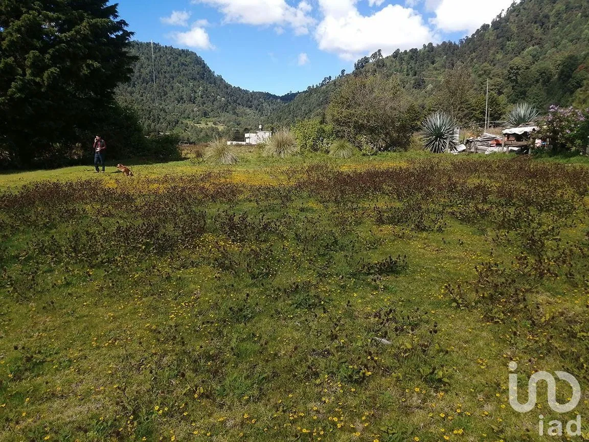 Terreno en Venta en Los Saúcos, Valle de Bravo, Estado De México | NEX-227348 | iad México | Foto 5 de 6