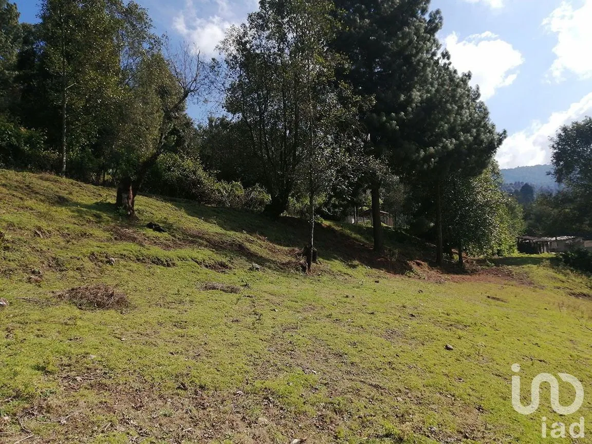 Terreno en Venta en Los Saúcos, Valle de Bravo, Estado De México | NEX-227349 | iad México | Foto 2 de 15