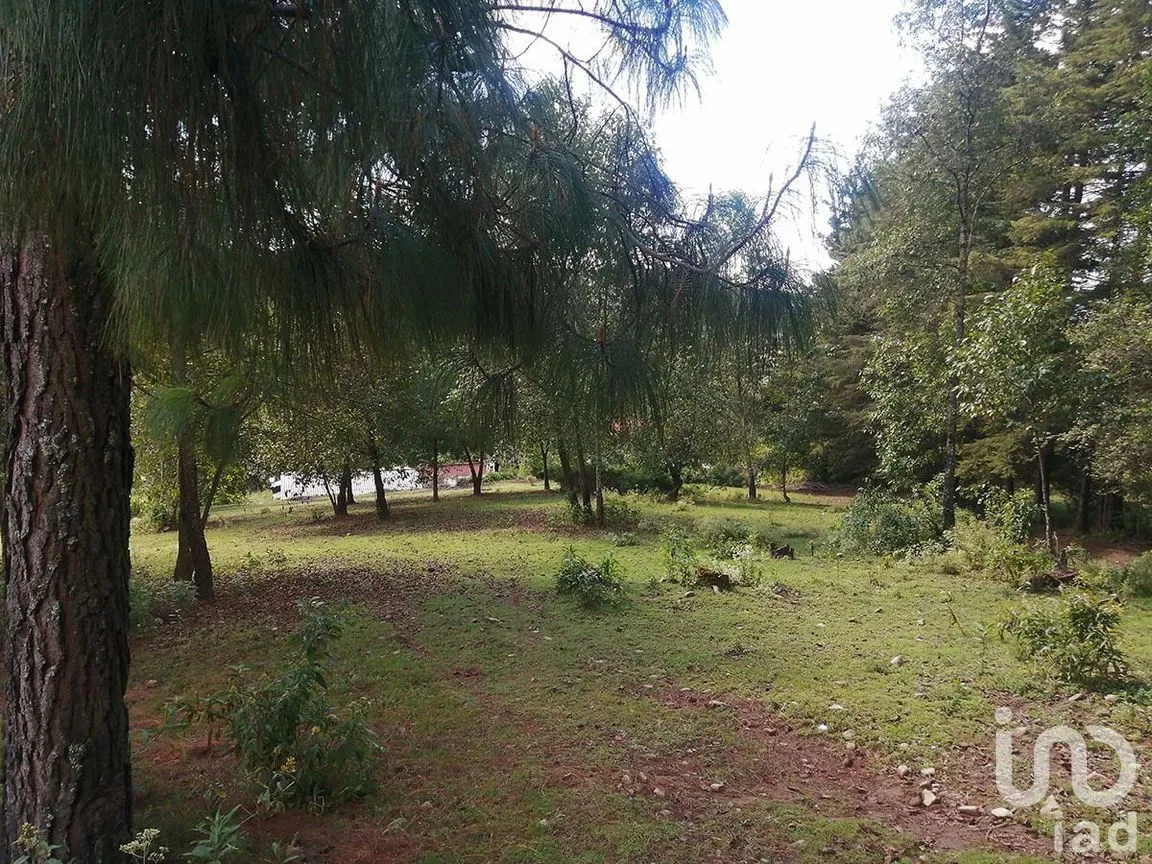Terreno en Venta en Los Saúcos, Valle de Bravo, Estado De México | NEX-227349 | iad México | Foto 11 de 15