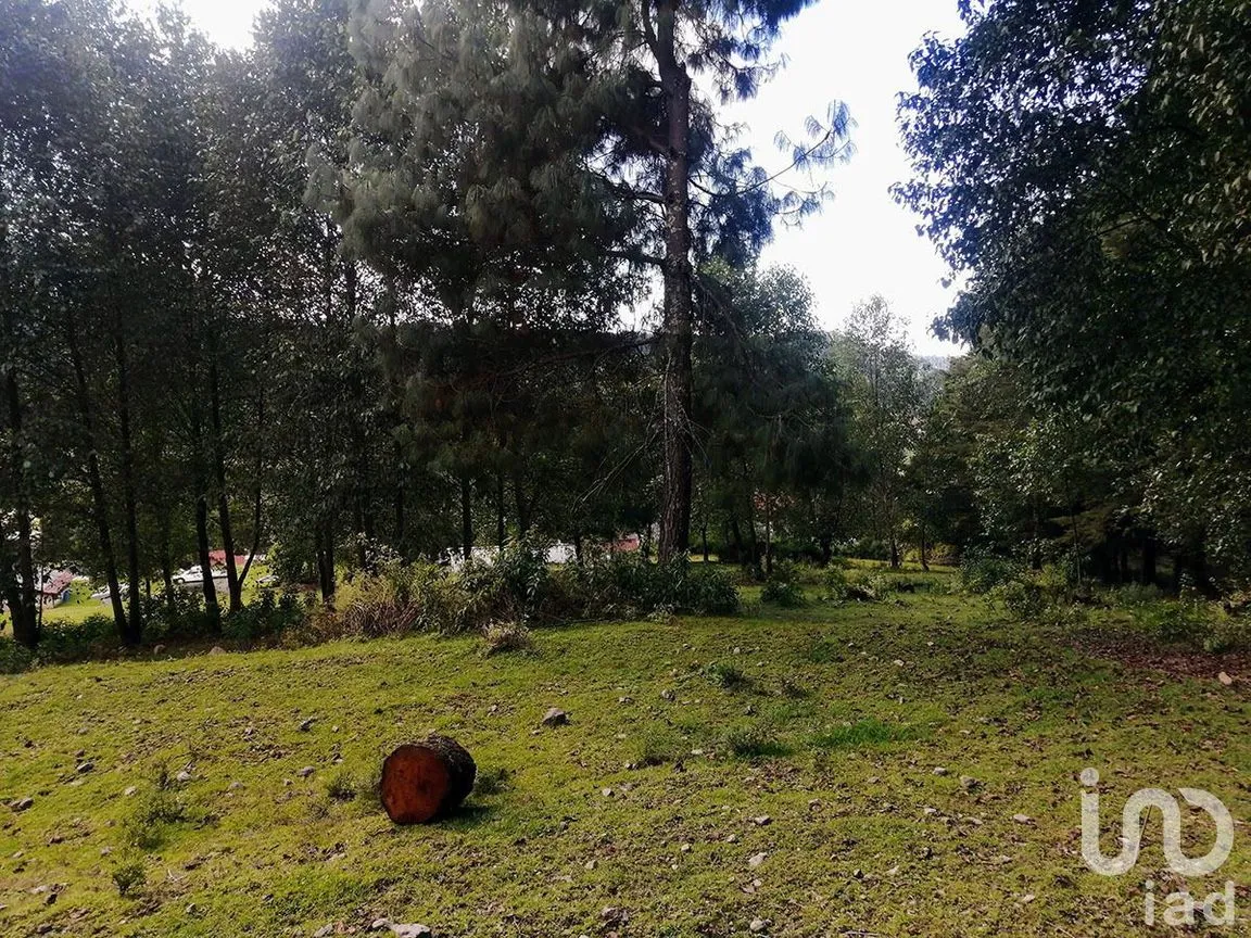 Terreno en Venta en Los Saúcos, Valle de Bravo, Estado De México | NEX-227349 | iad México | Foto 12 de 15