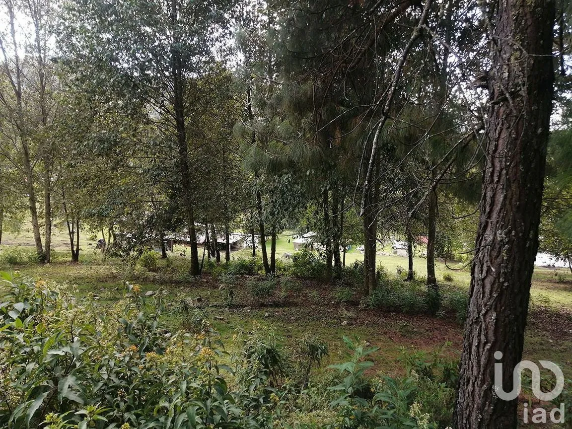 Terreno en Venta en Los Saúcos, Valle de Bravo, Estado De México | NEX-227349 | iad México | Foto 14 de 15