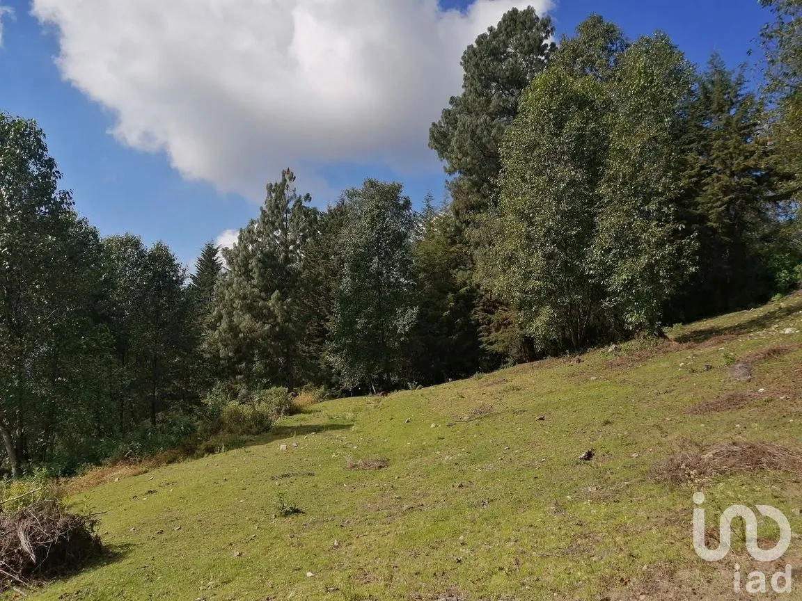 Terreno en Venta en Los Saúcos, Valle de Bravo, Estado De México | NEX-227349 | iad México | Foto 15 de 15