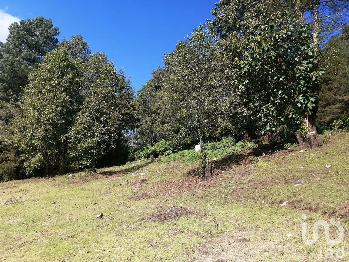 Terreno en Venta en Los Saúcos, Valle de Bravo, Estado De México | NEX-227349 | iad México | Foto 4 de 15