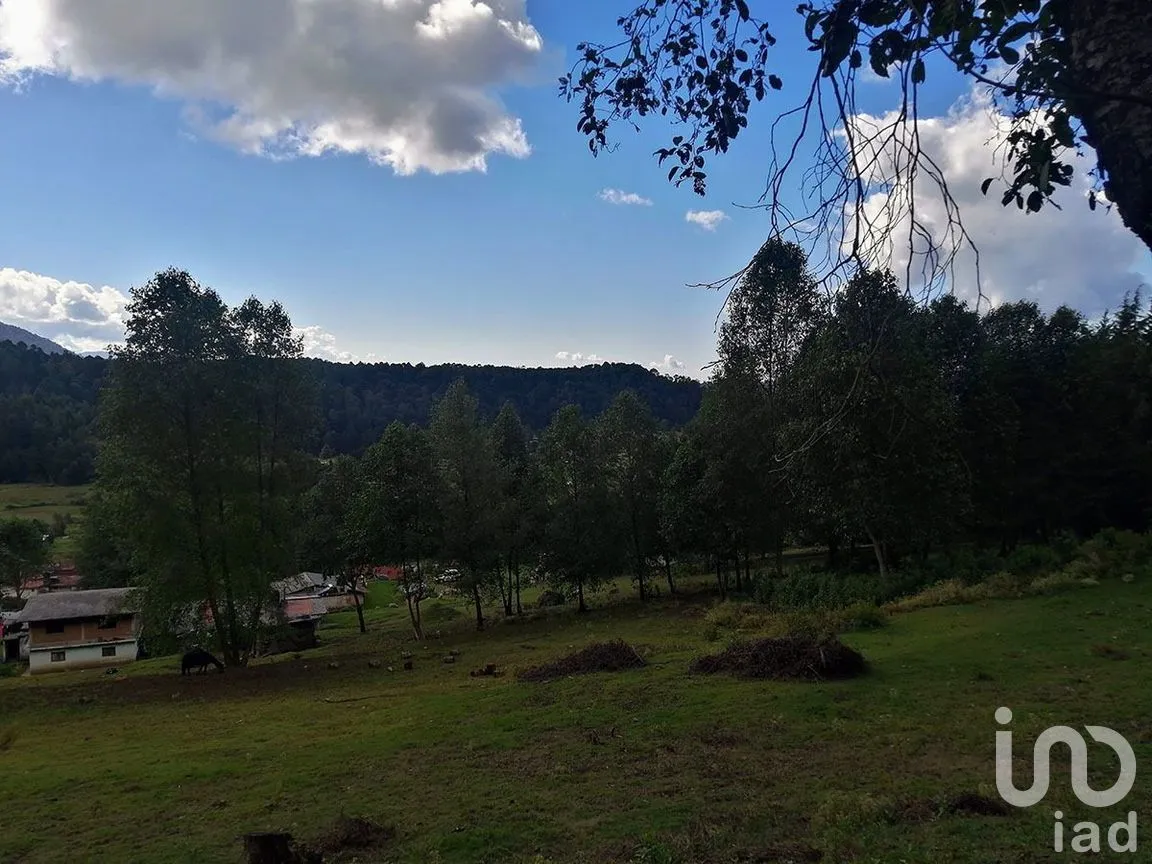 Terreno en Venta en Los Saúcos, Valle de Bravo, Estado De México | NEX-227349 | iad México | Foto 5 de 15