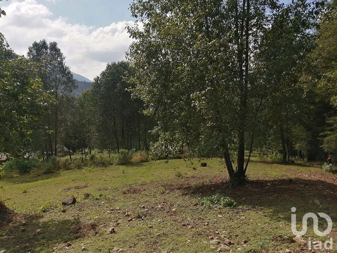 Terreno en Venta en Los Saúcos, Valle de Bravo, Estado De México | NEX-227349 | iad México | Foto 6 de 15